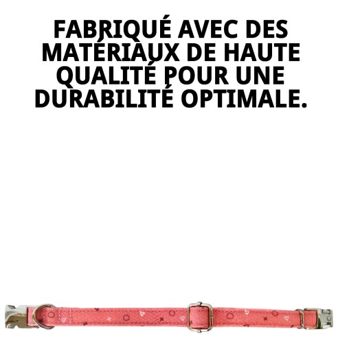 Collier Moly Saumon T-6 pour Chiens 45-55 cm - Confort et Style