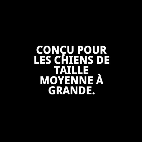 Collier Moly Saumon T-6 pour Chiens 45-55 cm - Confort et Style