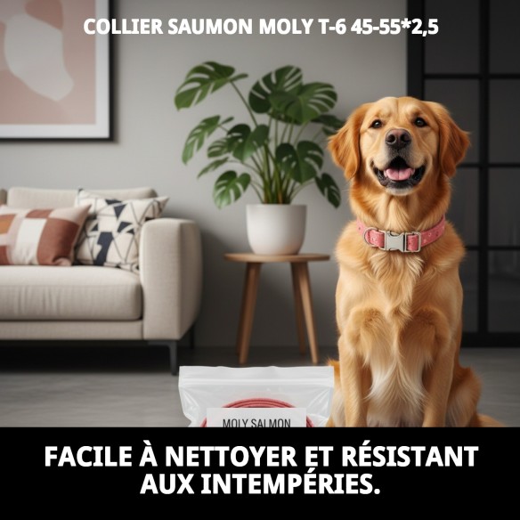 Collier Moly Saumon T-6 pour Chiens 45-55 cm - Confort et Style