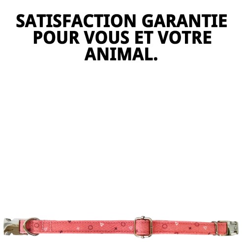 Collier Moly Saumon T-6 pour Chiens 45-55 cm - Confort et Style
