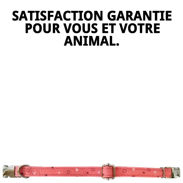 Collier Moly Saumon T-6 pour Chiens 45-55 cm - Confort et Style