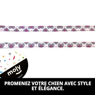 Ramal Cœurs T-2 : Style et Confort pour votre Animal de Compagnie 2