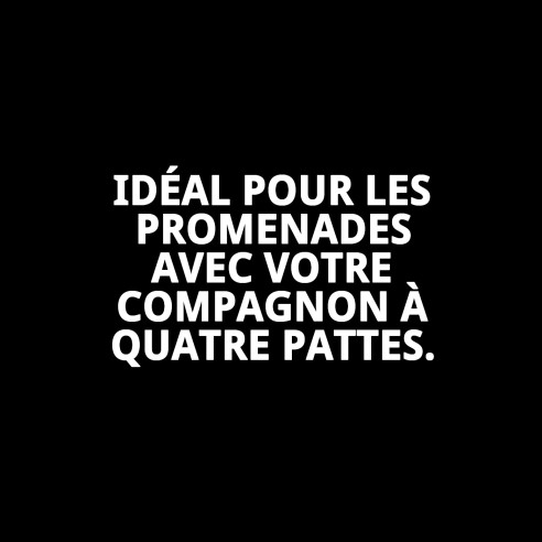 Ramal Topitos T-1 120*1.5 : Style et résistance pour votre animal de compagnie.