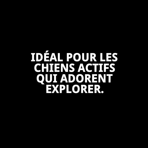 Ramal Topitos T-2 120*2 : Confort et Style pour votre Animal de Compagnie