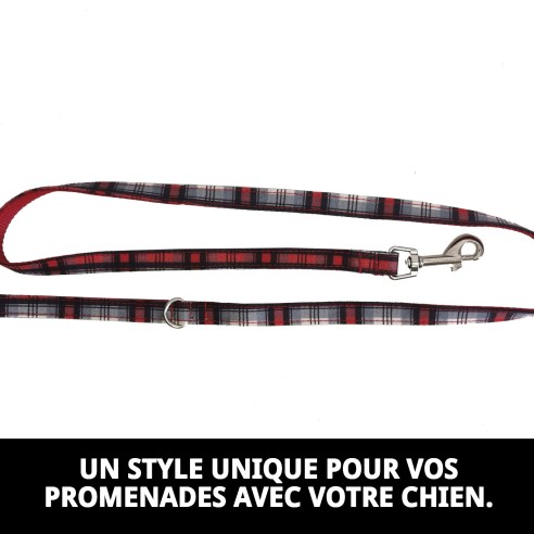 Ramal Écossais T-1 120*1,5 : Style et Sécurité pour votre Animal de Compagnie