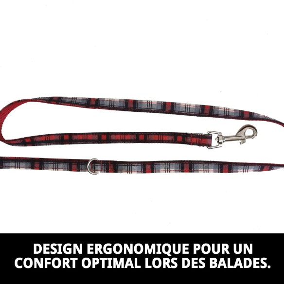 Ramal Écossais T-1 120*1,5 : Style et Sécurité pour votre Animal de Compagnie