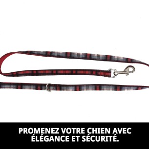 Ramal Écossais T-2 120*2 : Style et Sécurité pour Votre Animal de Compagnie 2