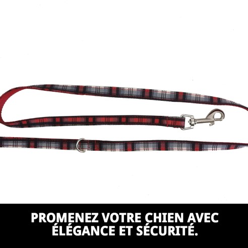 Ramal Écossais T-2 120*2 : Style et Sécurité pour Votre Animal de Compagnie