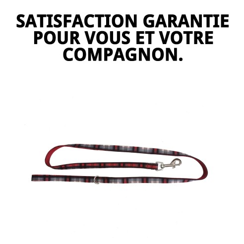 Ramal Écossais T-2 120*2 : Style et Sécurité pour Votre Animal de Compagnie