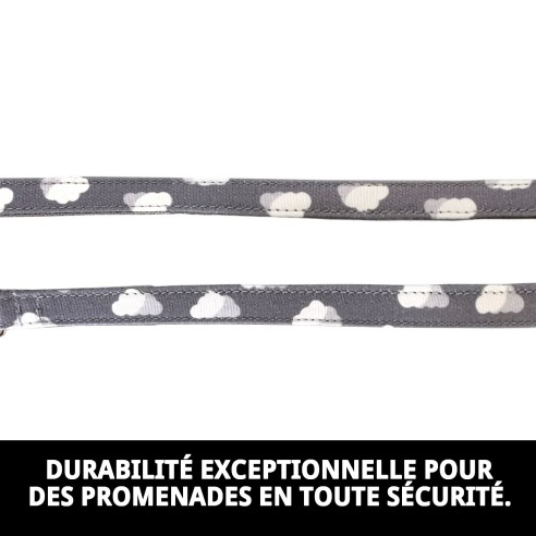 Ramal Nubes Gris T-2 120*2 : Style et Confort pour Votre Animal de Compagnie