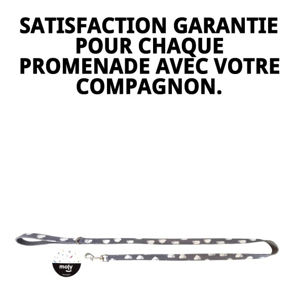 Ramal Nubes Gris T-2 120*2 : Style et Confort pour Votre Animal de Compagnie