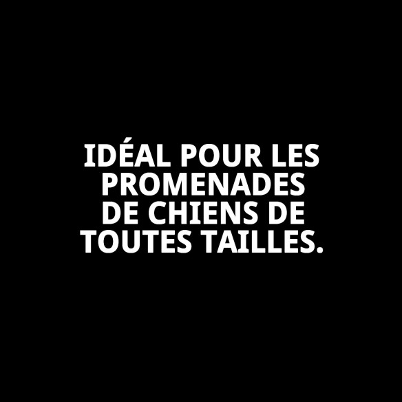 Ramal Moly Lila T-1 120*1,5 : Style et Sécurité pour Votre Animal de Compagnie