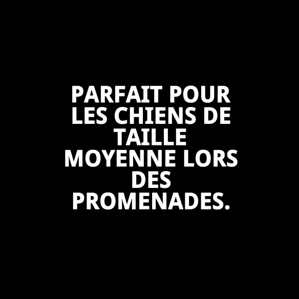 Ramal Moly Lila T-2 120*20 : Style et Confort pour votre Animal de Compagnie