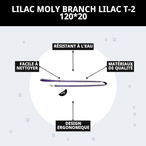 Ramal Moly Lila T-2 120*20 : Style et Confort pour votre Animal de Compagnie