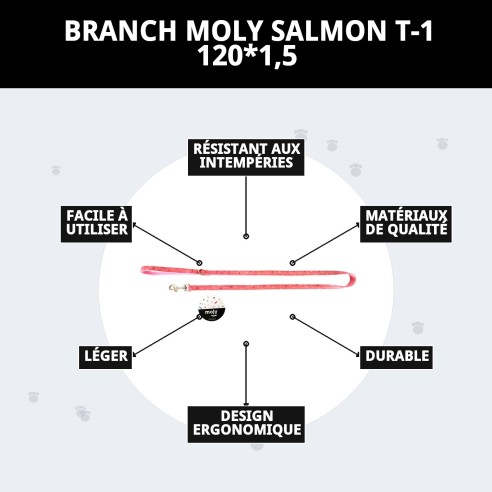 Ramal Moly Salmon T-1 120*1,5 : Qualité et Style pour votre Animal de Compagnie