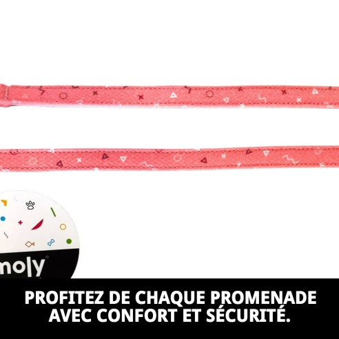 RAMAL MOLY SALMON T-2 120*2 se traduce al francés como :

"RAMEAU MOLY SAUMON T-2 120*2"