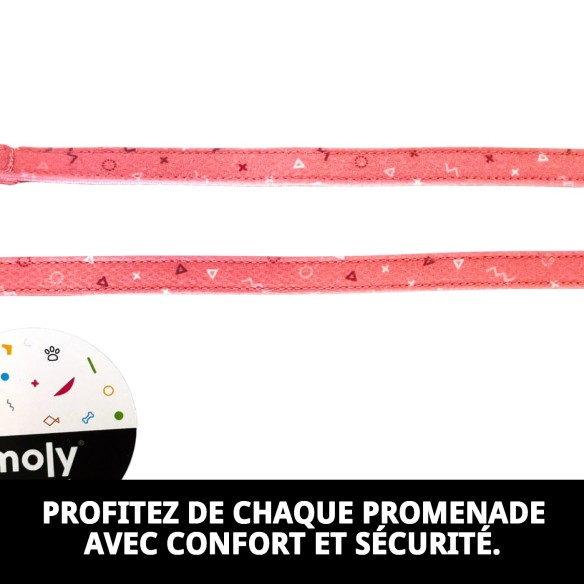 RAMAL MOLY SALMON T-2 120*2 se traduce al francés como :

"RAMEAU MOLY SAUMON T-2 120*2"