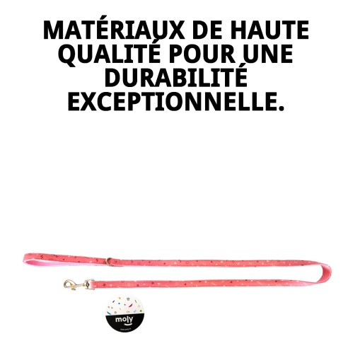 RAMAL MOLY SALMON T-2 120*2 se traduce al francés como :

"RAMEAU MOLY SAUMON T-2 120*2"