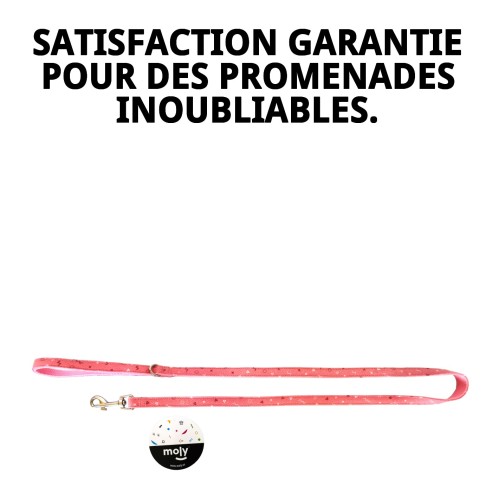 RAMAL MOLY SALMON T-2 120*2 se traduce al francés como :

"RAMEAU MOLY SAUMON T-2 120*2"