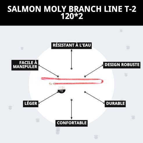 RAMAL MOLY SALMON T-2 120*2 se traduce al francés como :

"RAMEAU MOLY SAUMON T-2 120*2"