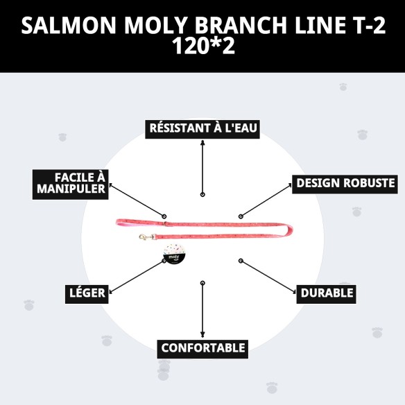 RAMAL MOLY SALMON T-2 120*2 se traduce al francés como :

"RAMEAU MOLY SAUMON T-2 120*2"
