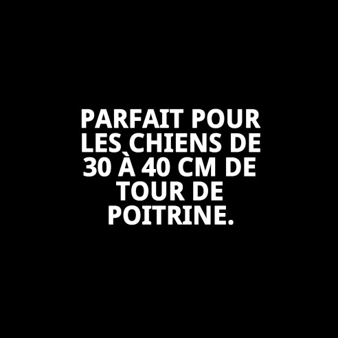 Petral Nubes Gris T-3 pour Chiens 30-40 cm - Confort et Style