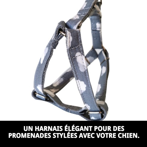 Petral Nube Gris T-5 40-50 cm - Confort et Style pour votre Animal de Compagnie