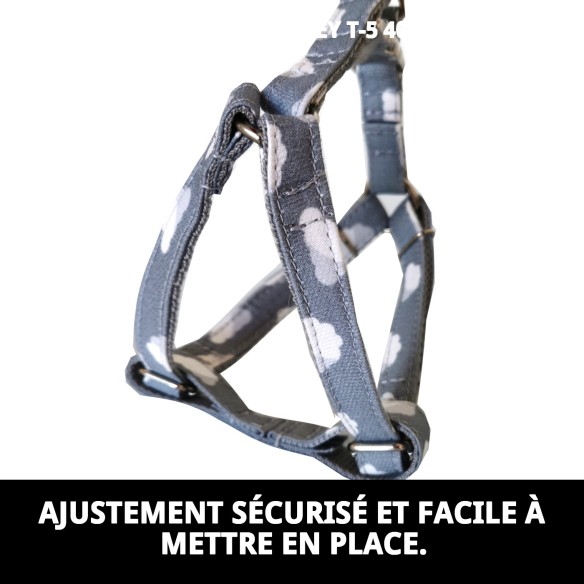 Petral Nube Gris T-5 40-50 cm - Confort et Style pour votre Animal de Compagnie