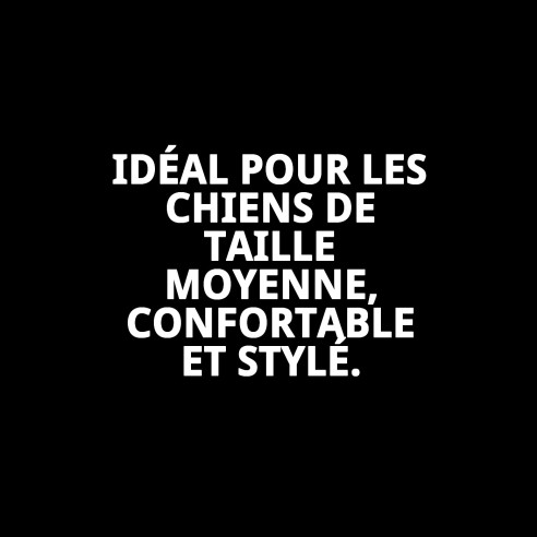 Petral Gaviotas T-3 pour Animaux de Compagnie 30-40 cm - Confort et Style