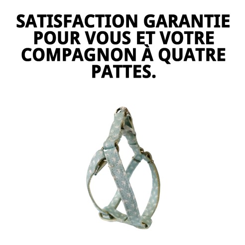 Petral Gaviotas T-3 pour Animaux de Compagnie 30-40 cm - Confort et Style