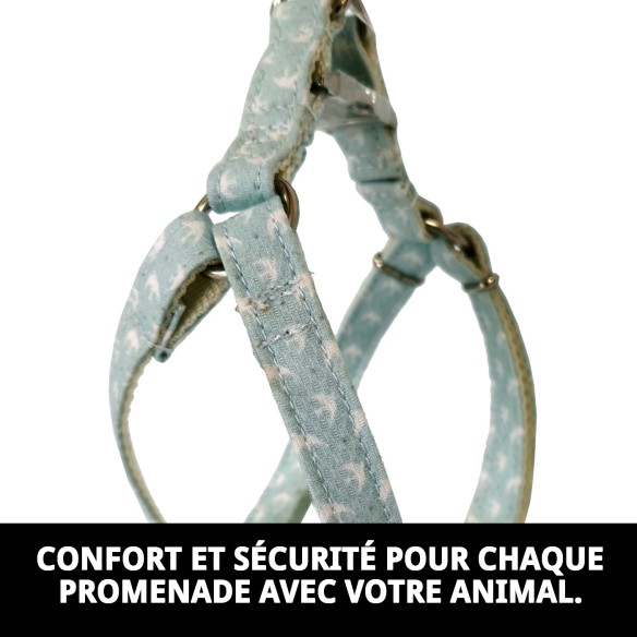 PETRAL GAVIOTAS T-5 : Confort et Style pour votre Animal de Compagnie