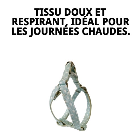 PETRAL GAVIOTAS T-5 : Confort et Style pour votre Animal de Compagnie