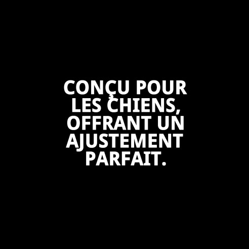 PETRAL GAVIOTAS T-5 : Confort et Style pour votre Animal de Compagnie