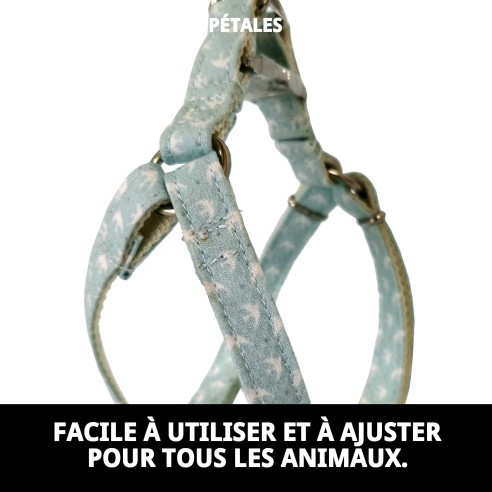 PETRAL GAVIOTAS T-5 : Confort et Style pour votre Animal de Compagnie