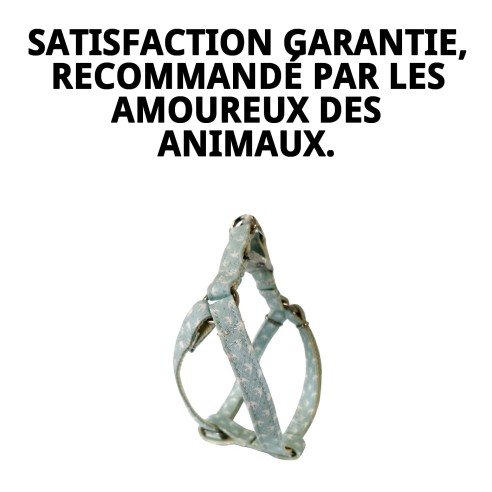 PETRAL GAVIOTAS T-5 : Confort et Style pour votre Animal de Compagnie