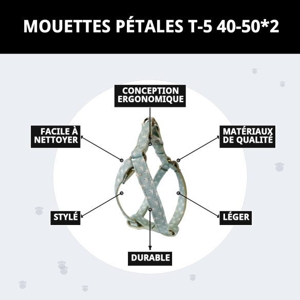 PETRAL GAVIOTAS T-5 : Confort et Style pour votre Animal de Compagnie