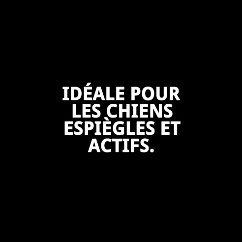 Muzzle Deluxe Écossais T-M : Confort et Style pour Votre Animal de Compagnie