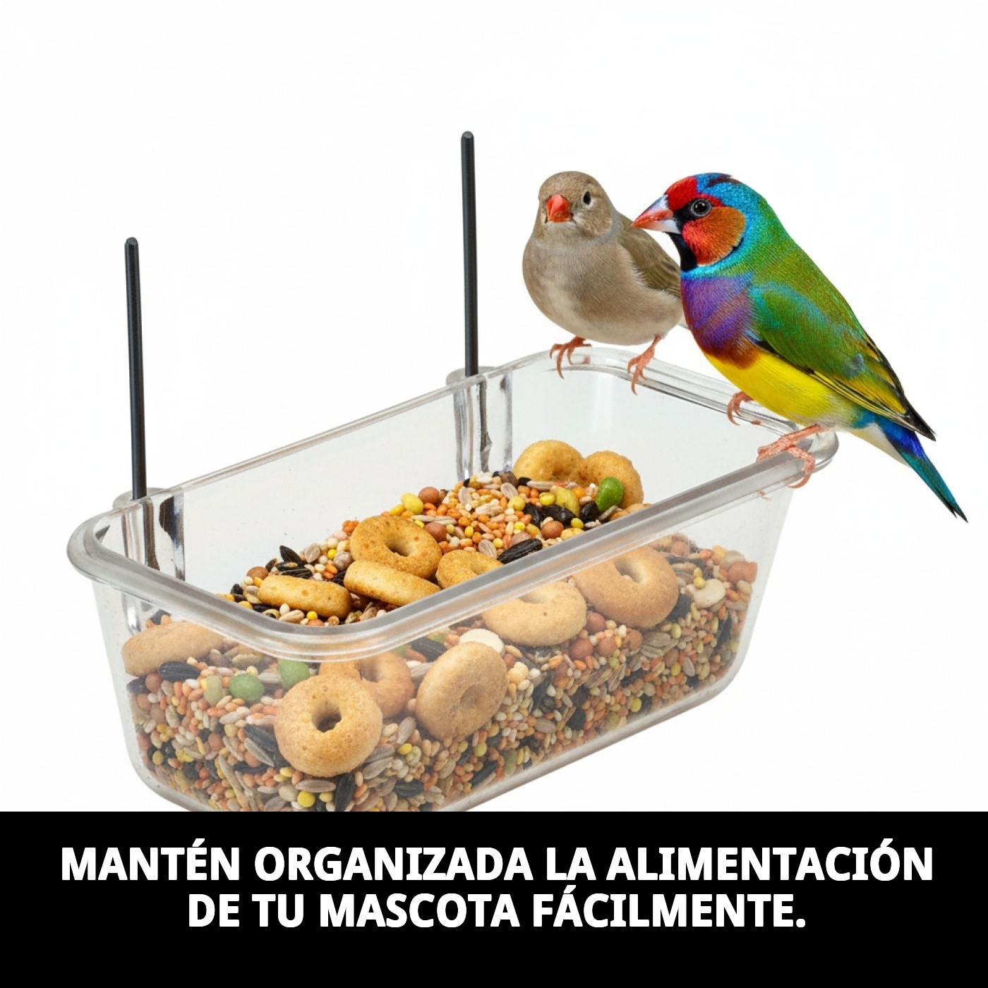 Photo 4