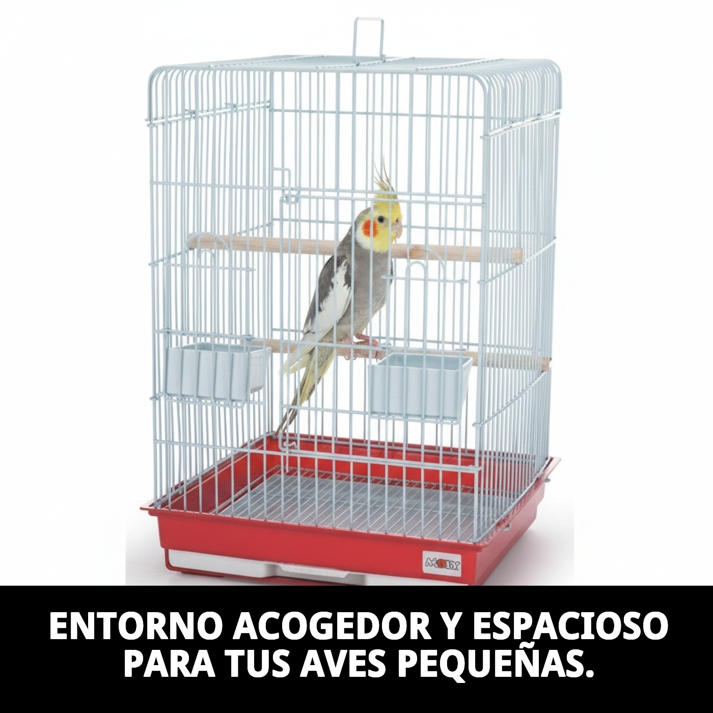 Photo 4
