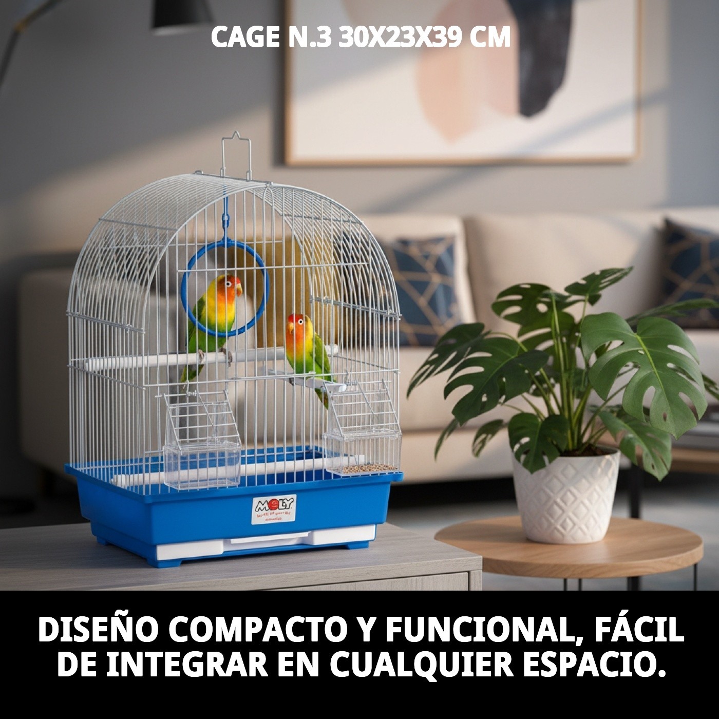 Photo 6