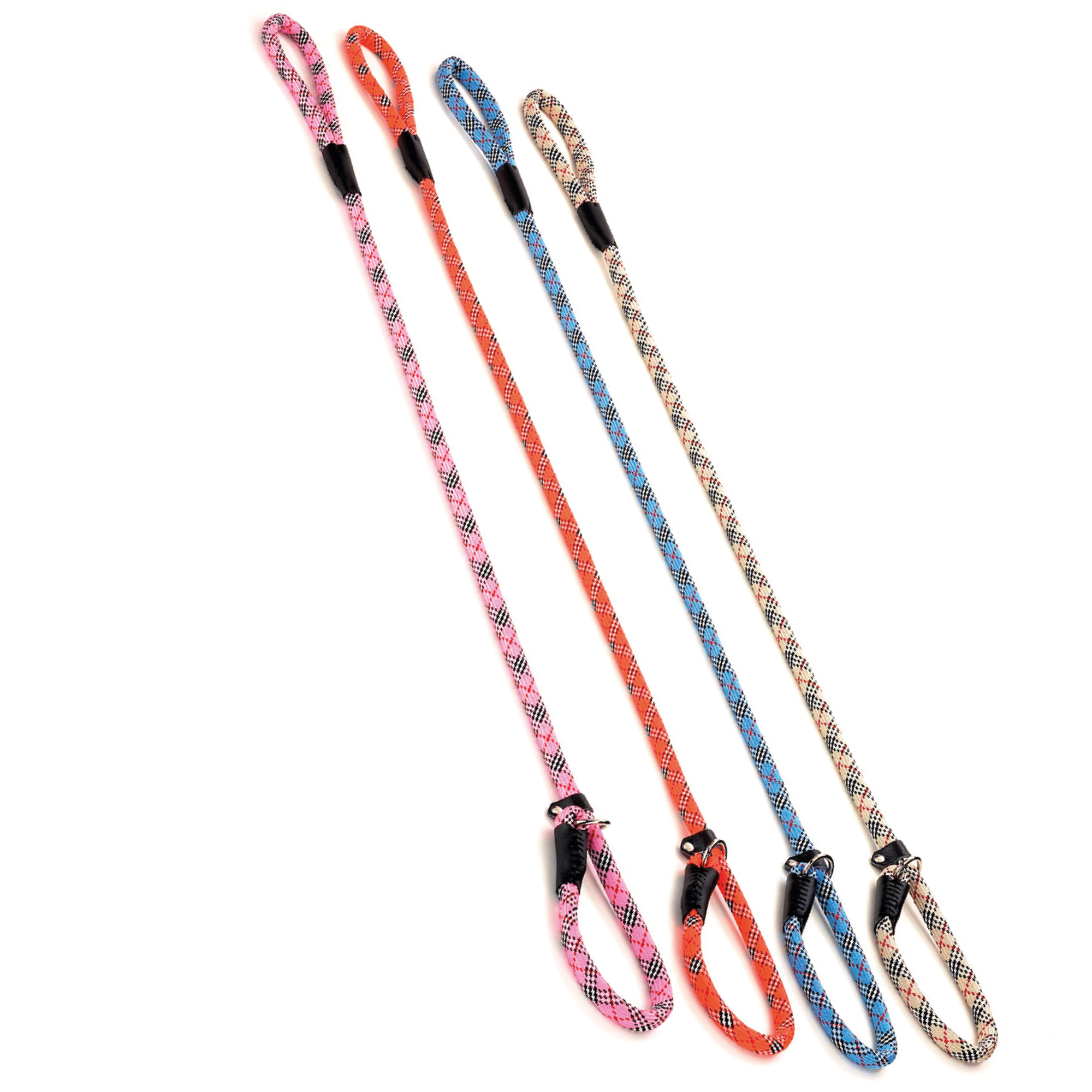 Collier et Laisse en Nylon pour Éducation - 120x1.30cm