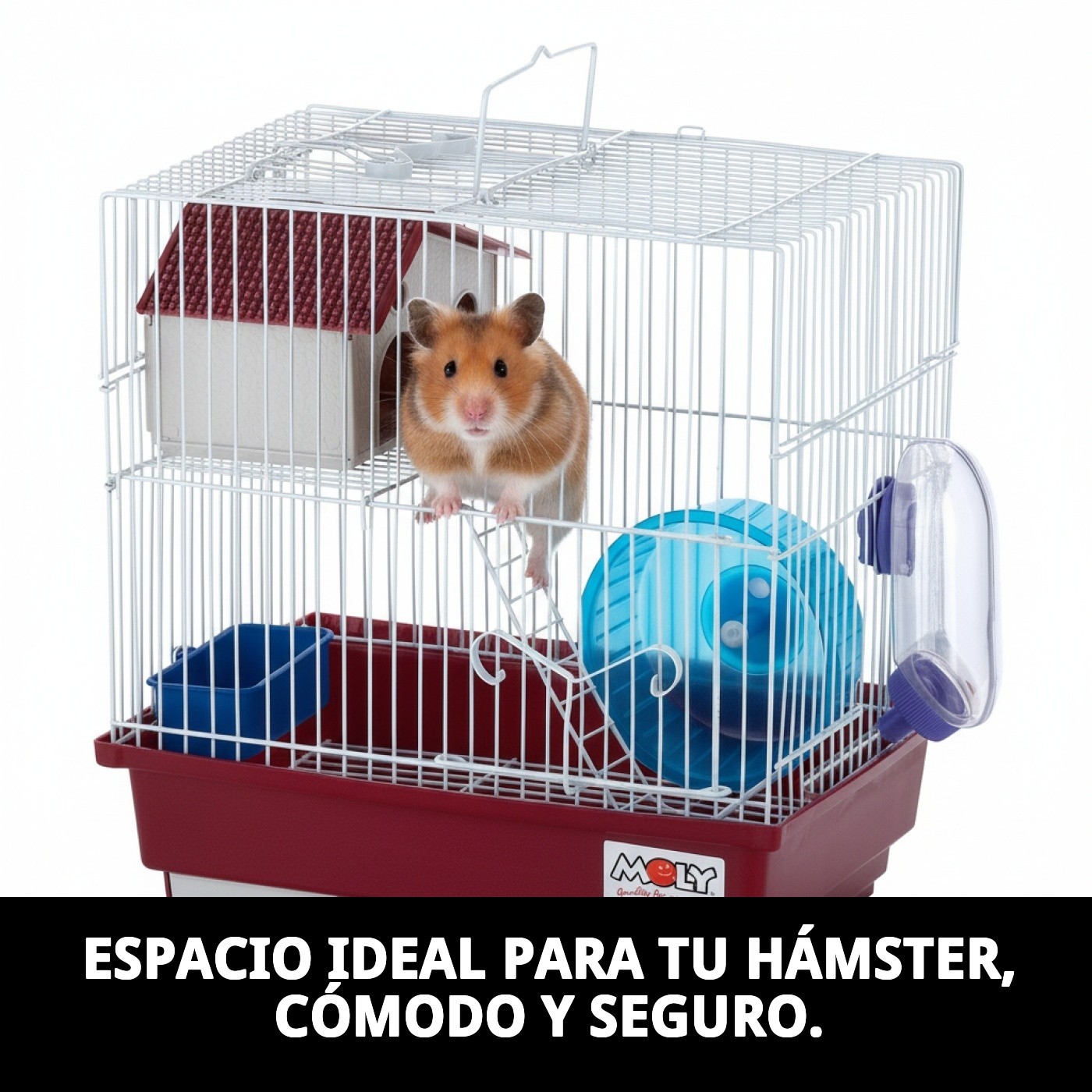 Photo 4